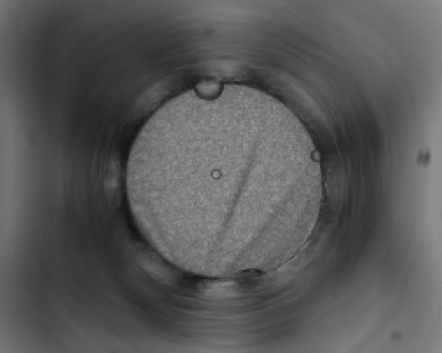 X0000102510132200809051420
