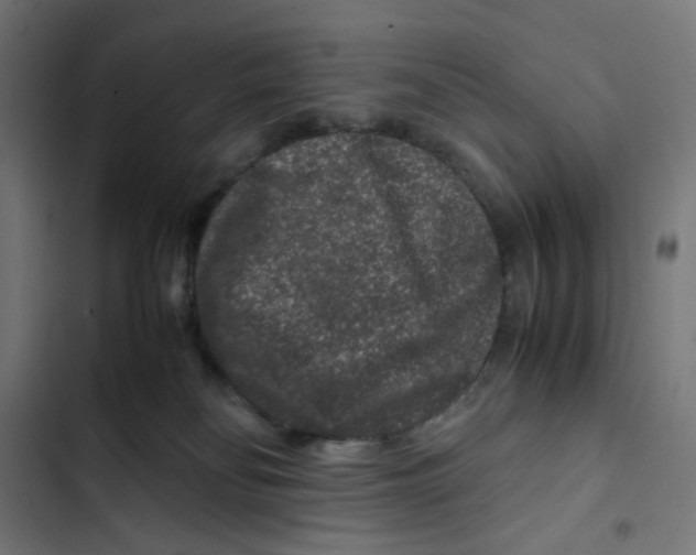 X0000102510134200809051419