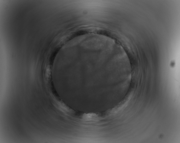 X0000102510137200809051419