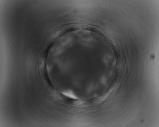 X0000102510139200809051419