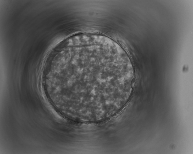 X0000102510145200809051418