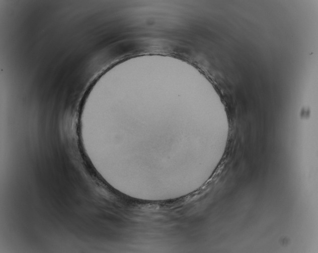 X0000102510146200809051418
