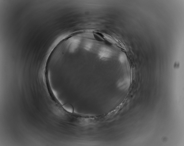 X0000102510147200809051418