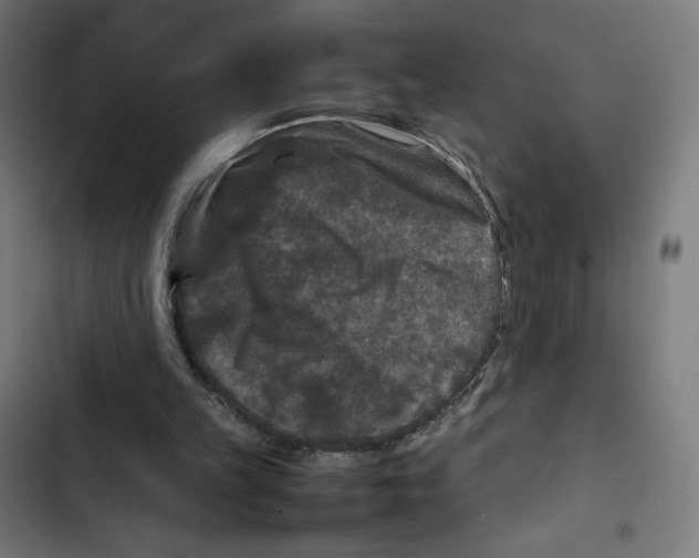 X0000102510149200809051419
