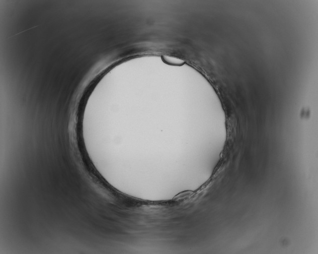 X0000102510150200809051419