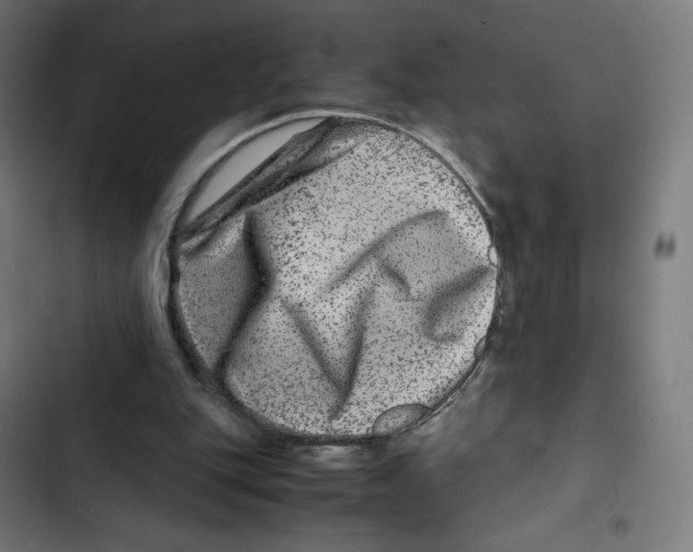 X0000102510151200809051419