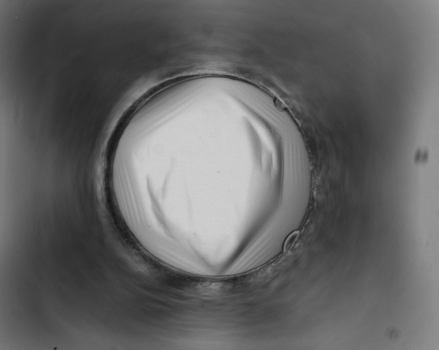 X0000102510152200809051419