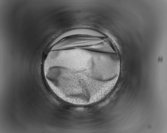 X0000102510153200809051419