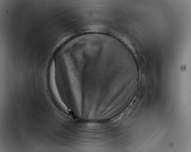 X0000102510154200809051419