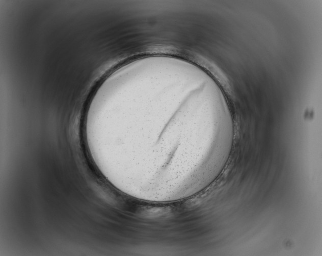 X0000102510155200809051419