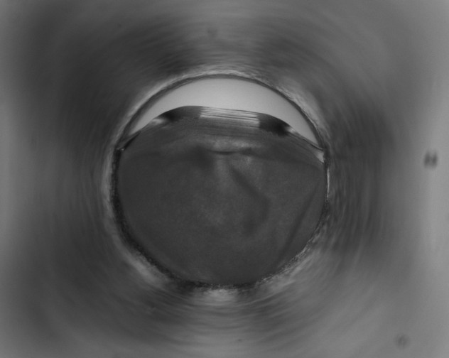 X0000102510156200809051419