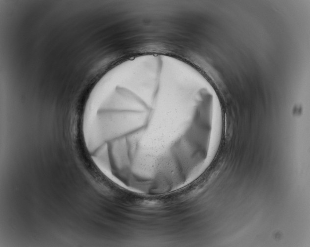X0000102510157200809051419