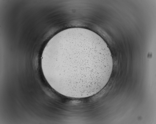 X0000102510158200809051419