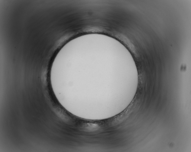 X0000102510159200809051419