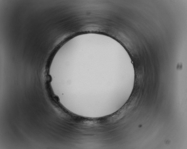 X0000102510160200809051419