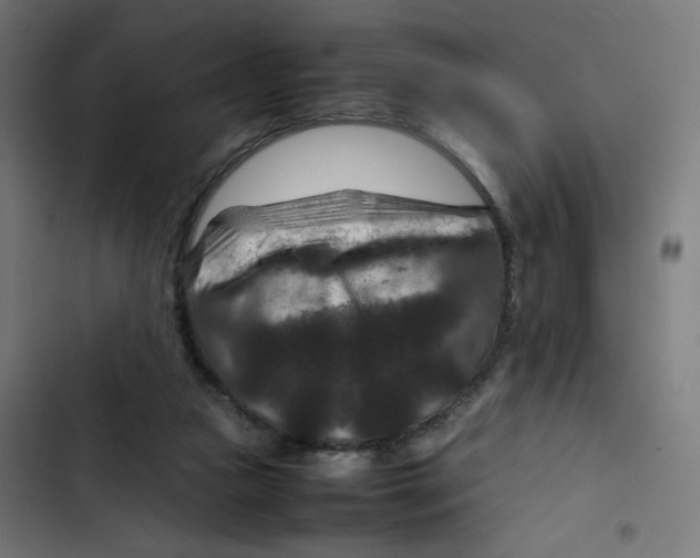 X0000102510161200809051419