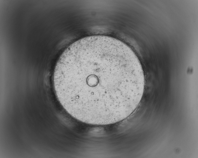 X0000102510162200809051419