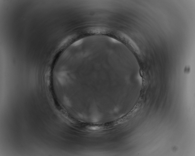 X0000102510163200809051419