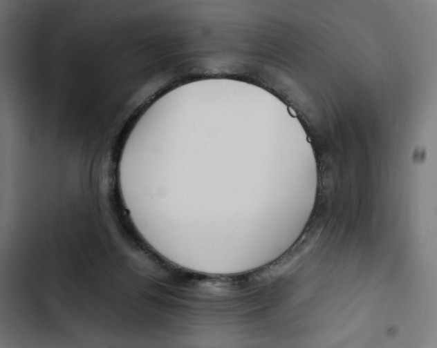 X0000102510164200809051419