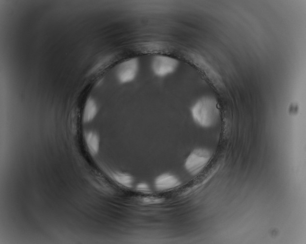 X0000102510165200809051419