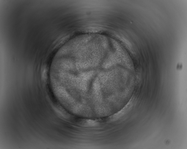 X0000102510166200809051419