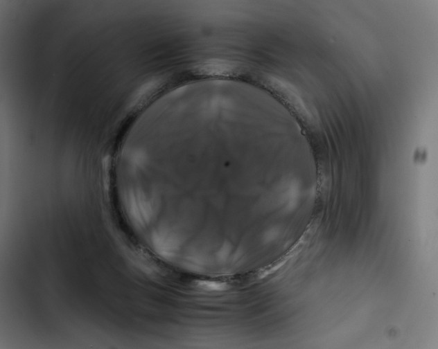X0000102510167200809051419