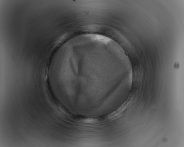 X0000102510168200809051419