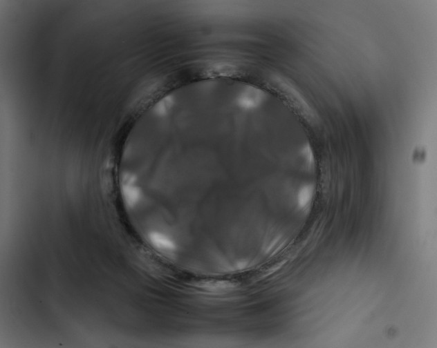 X0000102510169200809051419