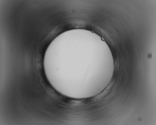 X0000102510170200809051419