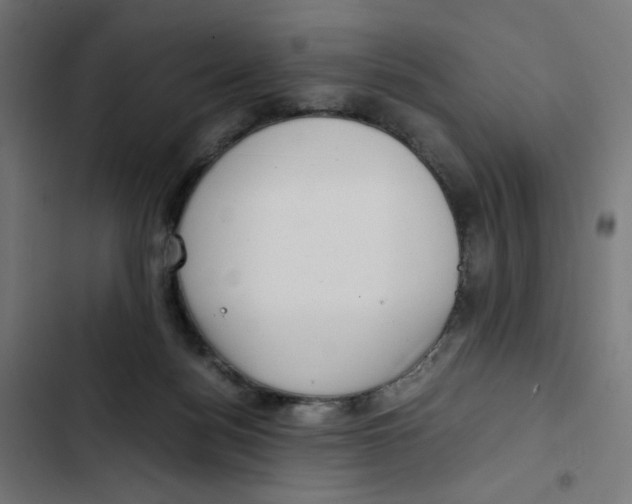 X0000102510172200809051419