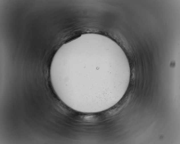 X0000102510173200809051419