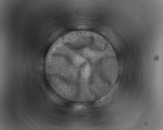 X0000102510175200809051419