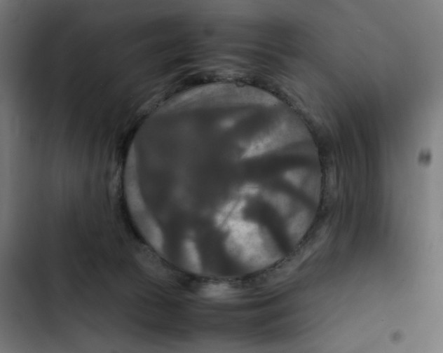 X0000102510177200809051419