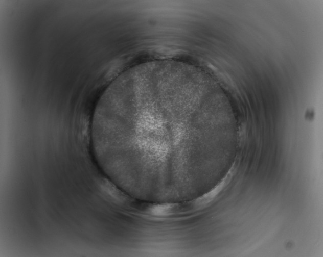 X0000102510178200809051419