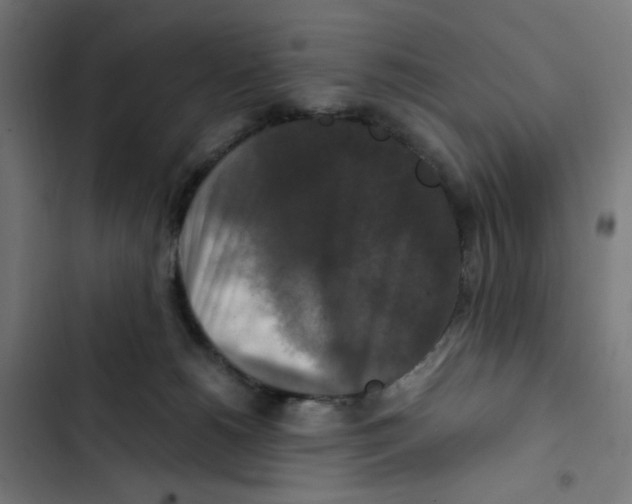 X0000102510180200809051419