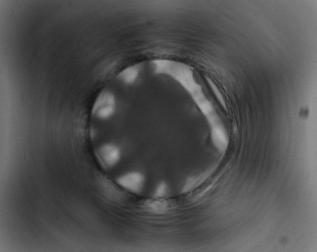 X0000102510181200809051419