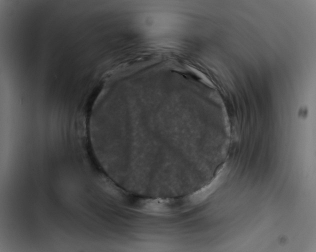 X0000102510182200809051419