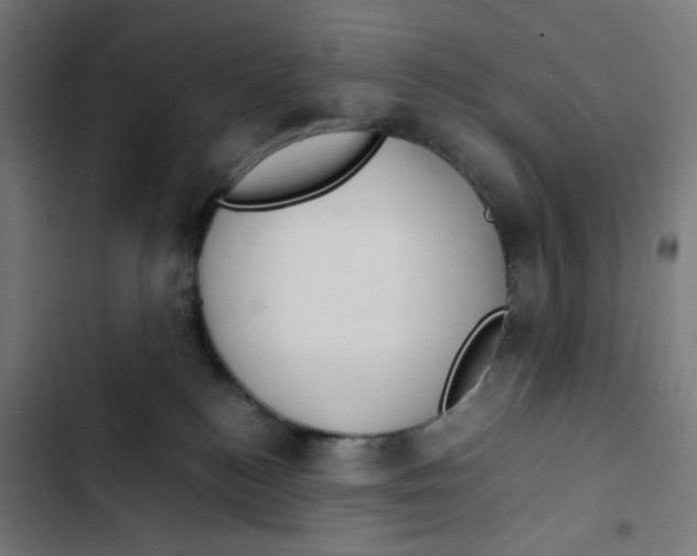 X0000102510184200809051419