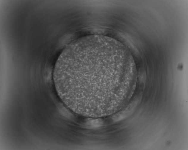 X0000102510185200809051419