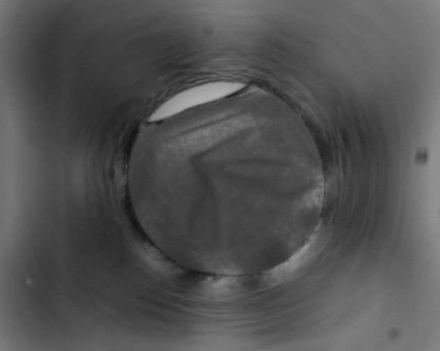 X0000102510186200809051419
