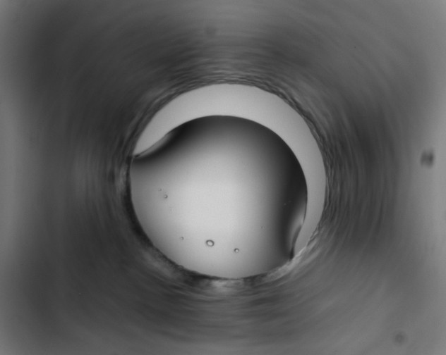 X0000102510188200809051419