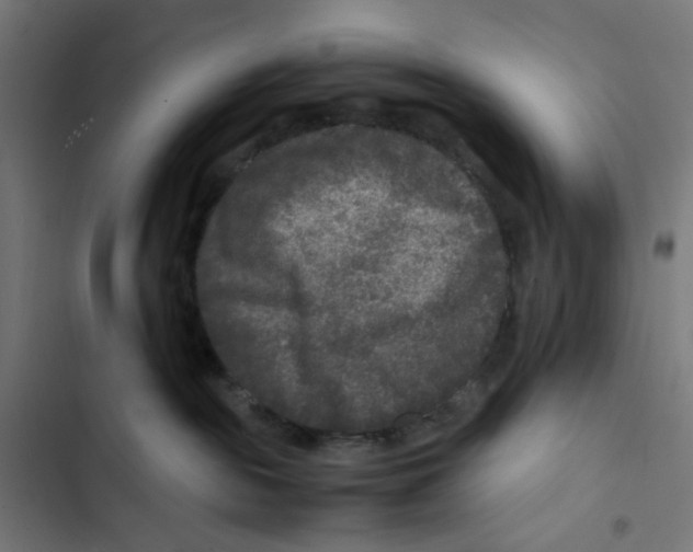 X0000102510189200809051419