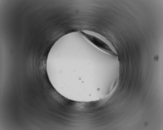 X0000102510190200809051419