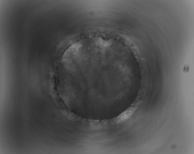 X0000102510192200809051419