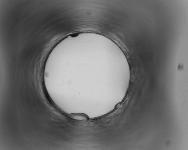 X0000102510193200809051418