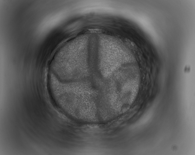 X0000102510194200809051418