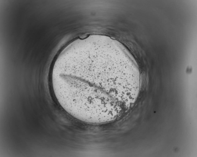 X0000102510195200809051418