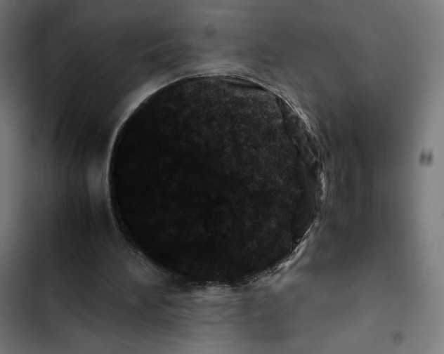 X0000102510196200809051418