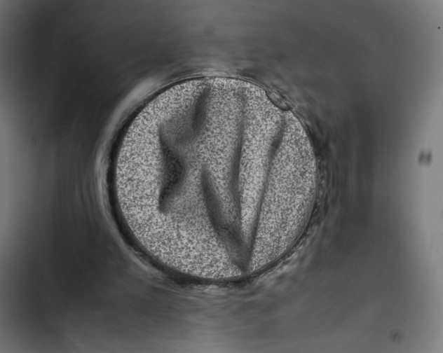 X0000102510197200809051418