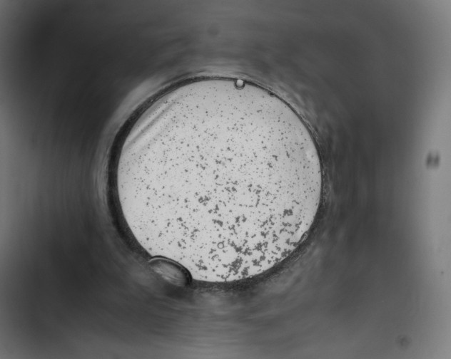 X0000102510199200809051418